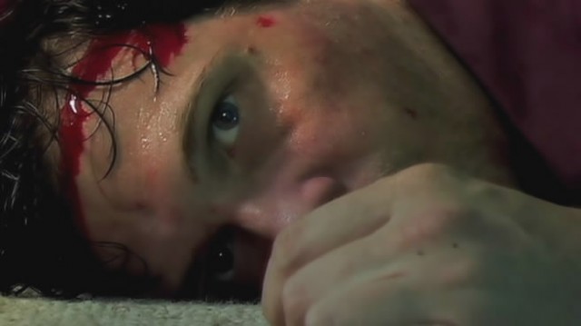 Red Victoria Fotoğrafı