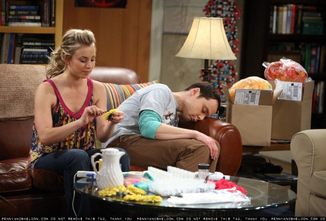 The Big Bang Theory Fotoğrafı