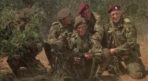 Yaban Kazları Fotoğrafı