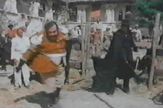 Zorro Fotoğrafı