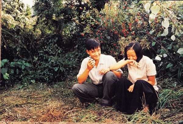 Hatıramdaki Armoni Fotoğrafı