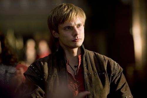 Merlin Fotoğrafı