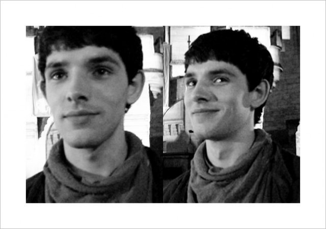 Merlin Fotoğrafı