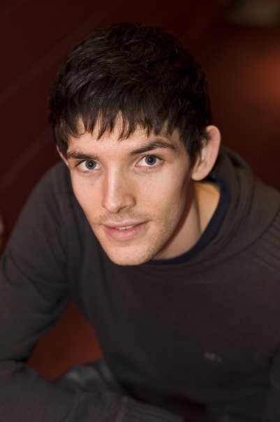 Merlin Fotoğrafı