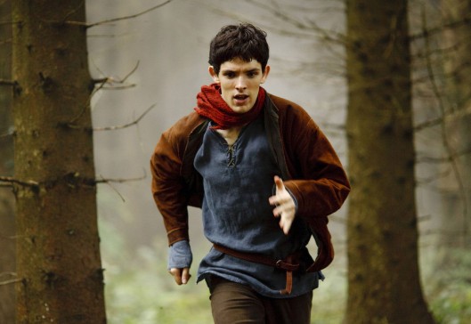 Merlin Fotoğrafı