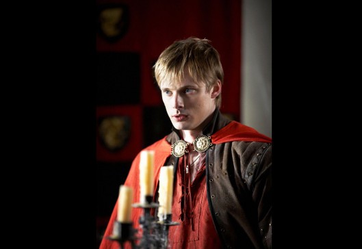 Merlin Fotoğrafı