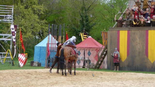 Merlin Fotoğrafı