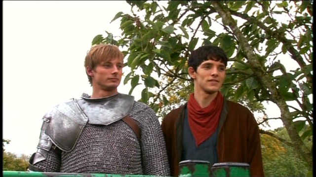 Merlin Fotoğrafı