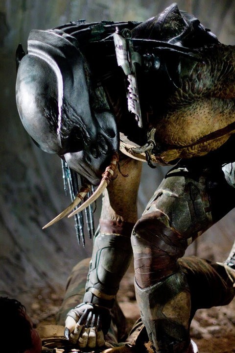 Predators Fotoğrafı