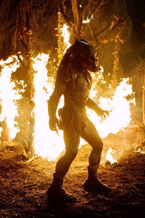 Predators Fotoğrafı