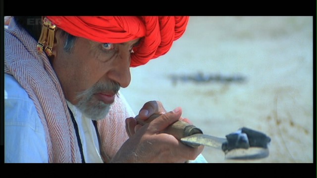 Paheli Fotoğrafı