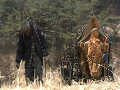 Yaşlı Ortak Fotoğrafı