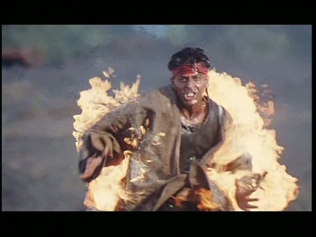 Koyla Fotoğrafı