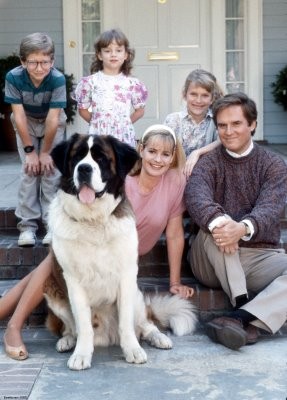 Afacan Köpek Beethoven Fotoğrafı