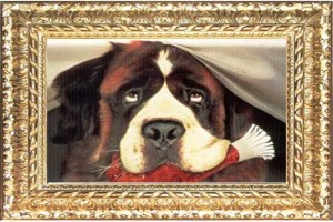 Afacan Köpek Beethoven Fotoğrafı