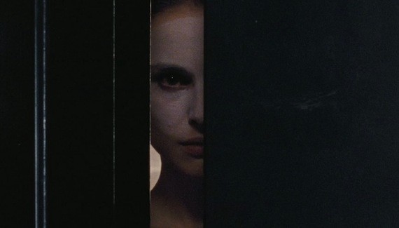 Siyah Kuğu Fotoğrafı