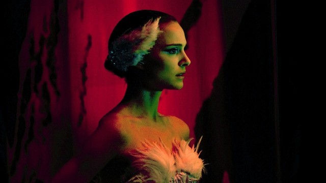 Siyah Kuğu Fotoğrafı