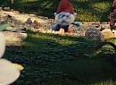 Şirinler Fotoğrafı