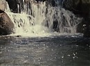 Şirinler Fotoğrafı