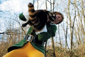 Elf Fotoğrafı