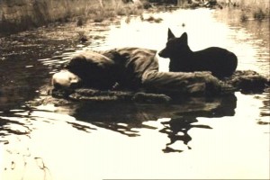 Stalker Fotoğrafı
