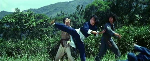 Ejder Yumruğu Fotoğrafı