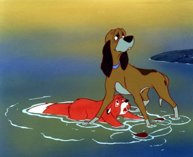 Tilki Ve Avcı Köpeği Fotoğrafı