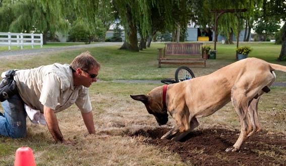 Marmaduke Fotoğrafları 10