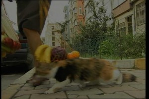 Namaste fotoğrafı