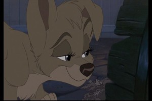 Lady And The Tramp II: Scamp's Adventure Fotoğrafı
