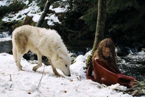 Survivre Avec Les Loups Fotoğrafları 3