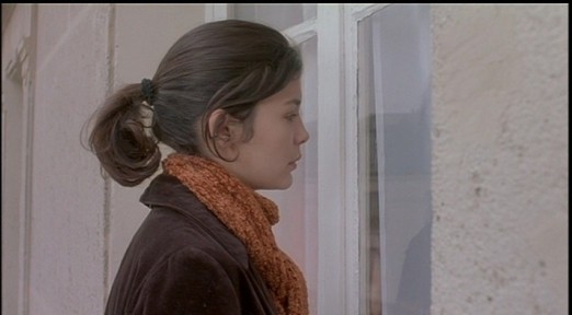 Bir Kelebeğin Kanat Çırpışı Fotoğrafı