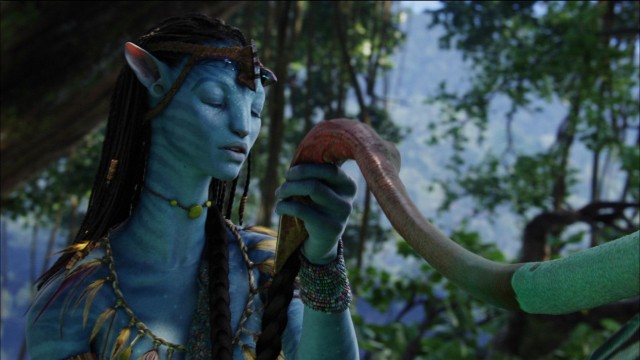 Avatar Fotoğrafı
