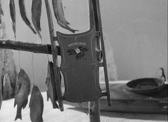 68 Yaşındaki çılgın Fotoğrafı