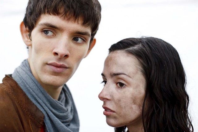 Merlin Fotoğrafı