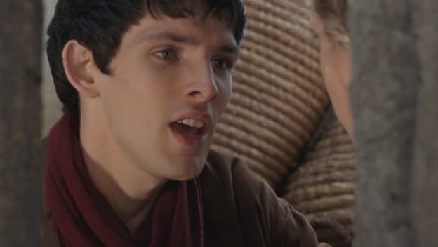 Merlin Fotoğrafı