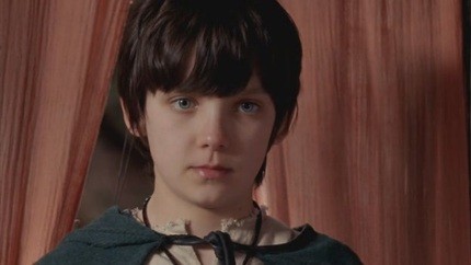 Merlin Fotoğrafı