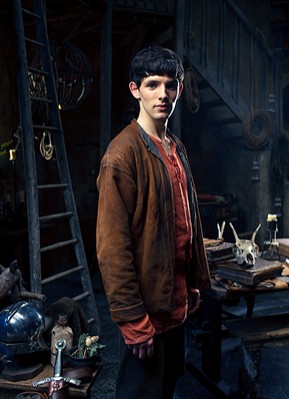 Merlin Fotoğrafı