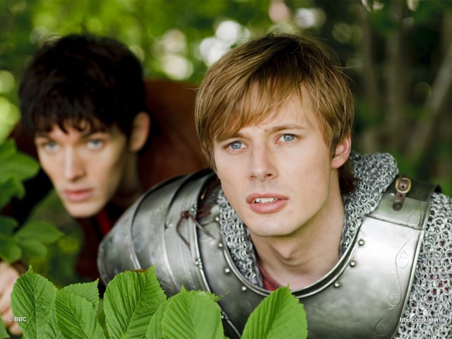 Merlin Fotoğrafı