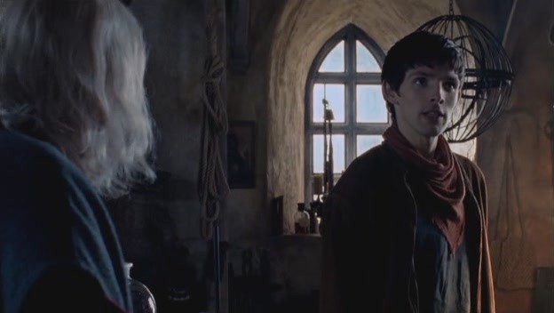 Merlin Fotoğrafı