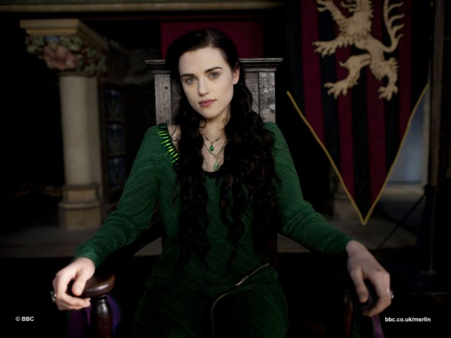 Merlin Fotoğrafı