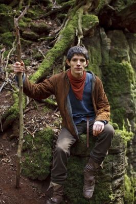 Merlin Fotoğrafı