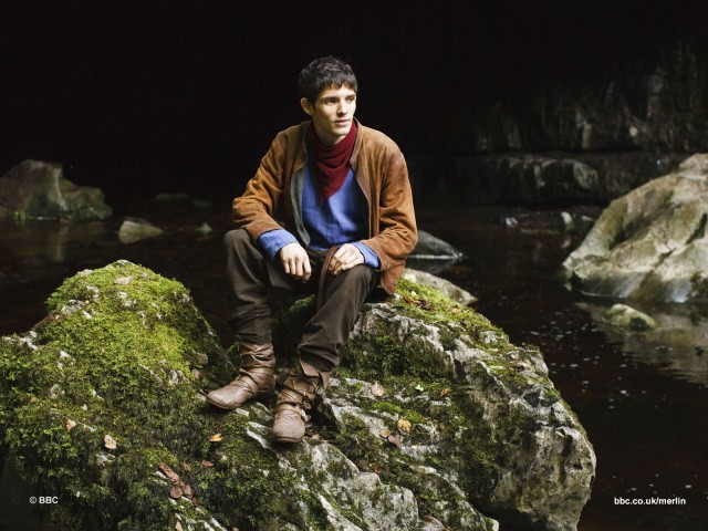 Merlin Fotoğrafı