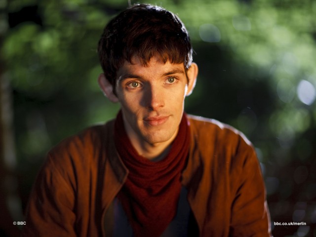 Merlin Fotoğrafı