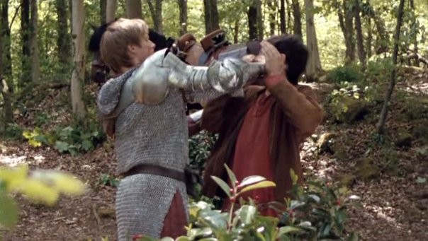 Merlin Fotoğrafı
