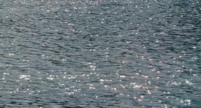 Kurt Adam Fotoğrafı