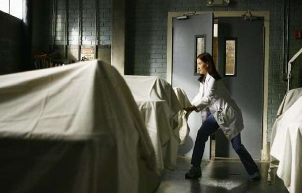 Grey's Anatomy Fotoğrafı