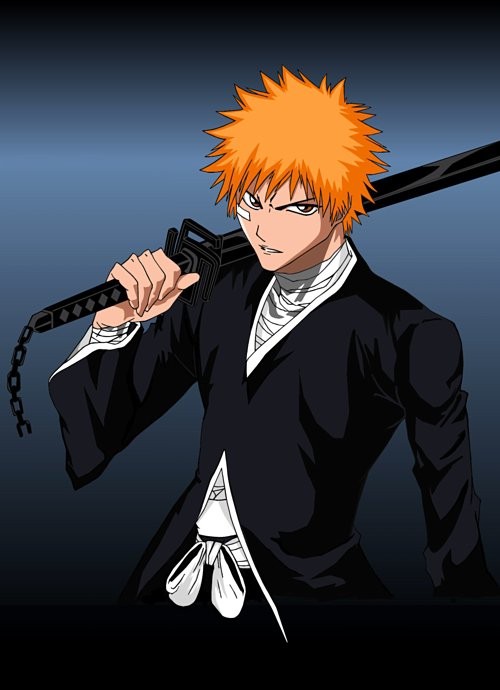 Bleach Fotoğrafları 17