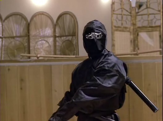 Ninjanın Intikamı Fotoğrafı