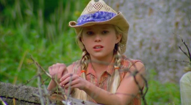 The Wild Stallion Fotoğrafı